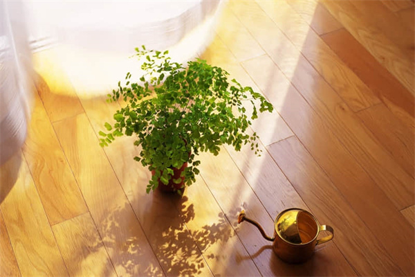 汪丫鱼外面的黄要洗掉吗-汪丫鱼表面