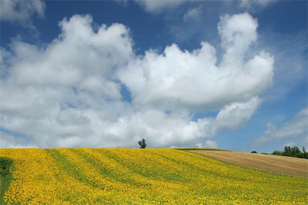 夏天牛仔裤多久洗一次-牛仔裤多少天穿洗一次