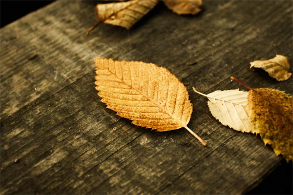 白衣服上番茄汁怎么洗-白衣服沾了番茄汁怎么洗