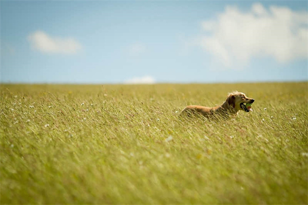 宋裤可以搭配什么穿好看-宋裤可以搭配什么穿好看的鞋子