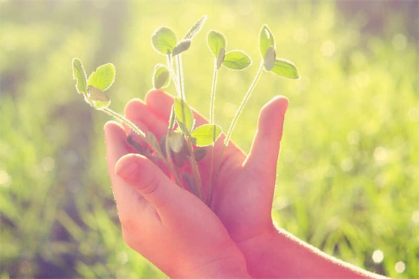 煮猪蹄怎么煮好吃-清水煮猪蹄怎么煮好吃