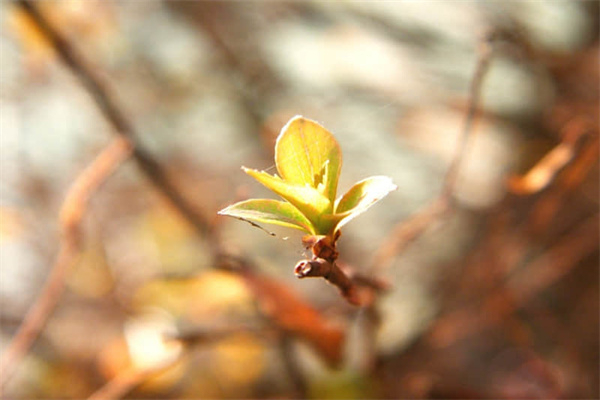 聚氨酯筛网是什么-聚氨酯筛网优点