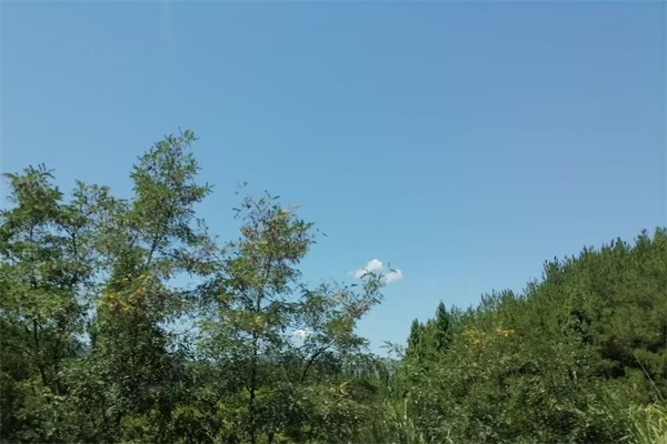 送保温杯代表什么意思-送保温杯子什么意思