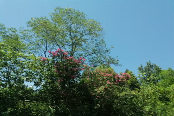 喝一瓶啤酒会醉吗-一瓶啤酒会不会醉