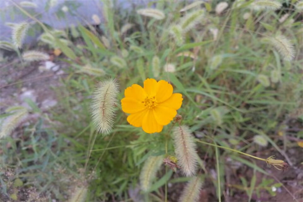 华北是指哪些地方-华北六省是哪6个省