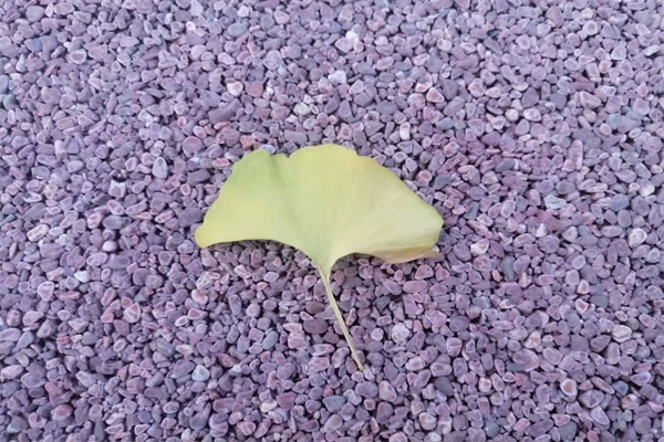 国庆节的气温一般穿什么-国庆期间温度是怎样的人要穿什么衣服