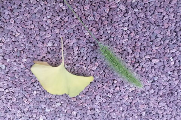 再接再厉下一句是什么-再接再厉后半句是什么