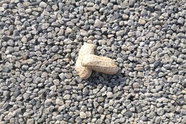 火绒怎么拦截弹窗-火绒拦截弹窗怎么关闭