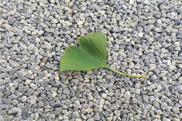 忠诚工作的格言-忠诚工作的格言怎么写