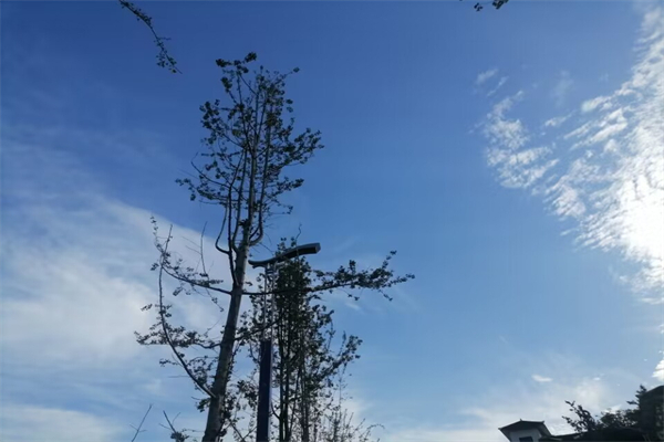 步惊云是什么梗-步惊云是什么剧