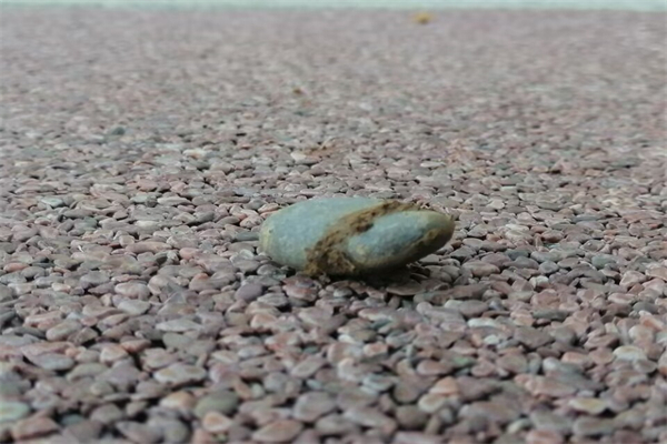 虾仁的做法宝宝辅食2岁