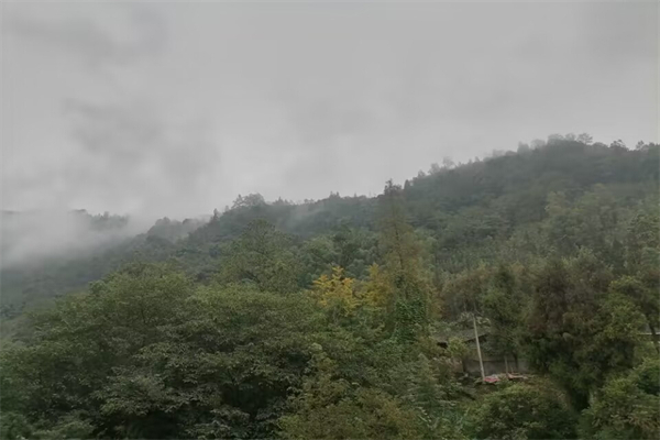 济宁是山东的哪个城市-济宁是山东哪个地区