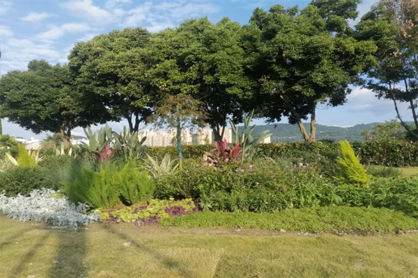 医师执业证书报考条件