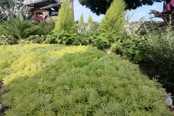 怎么画手的各种动作-如何画手的动作