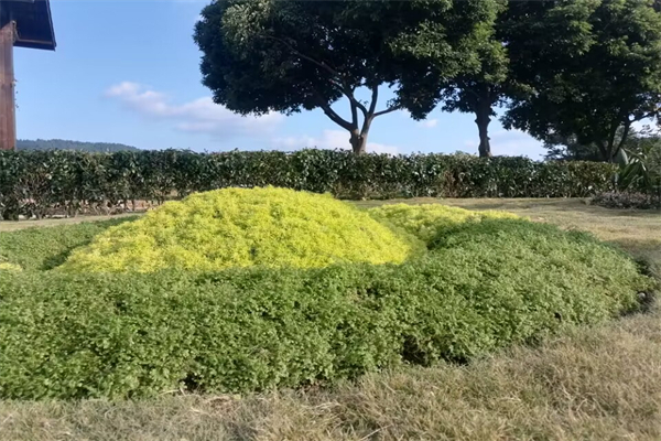 儿童蛋糕的做法 烤箱-儿童做蛋糕怎么做